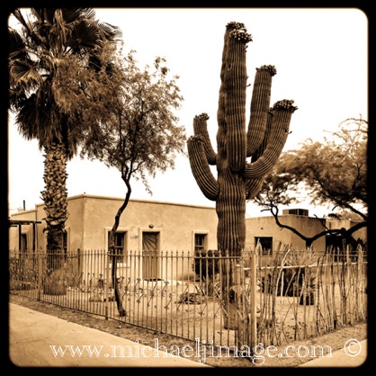 "saguaro y casita"
tucson, az.